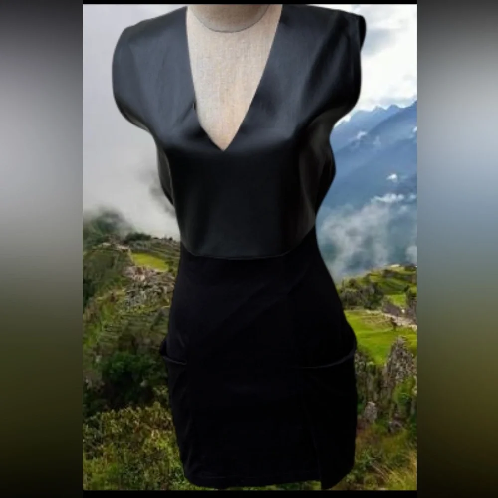 Sandra Weil stunning black dress w/ leather on top & wide pockets. Worn once - Picture 1 of 15